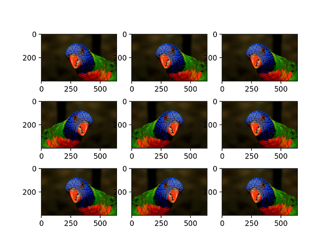 Plot-of-Augmented-Images-with-a-Horizontal-Flip